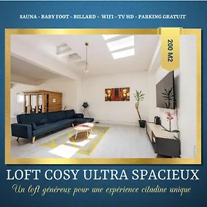 Loft Cosy - Hypercentre - Sauna - 200m2 - Wifi Appartement